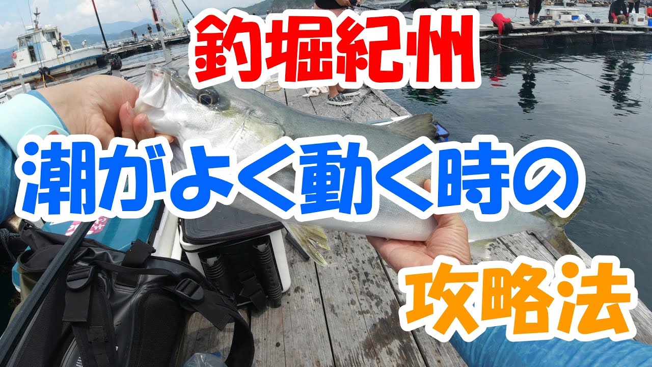 レインボー プロステージ 海上釣り堀 サビキ 磯にも の通販 By 早くお届けしたい ラクマ 海上釣堀 Veteran Tt400 ジョイクロ レインボー プロステージ 海上釣り堀 サビキ 磯にも の通販 By 早くお届けしたい ラクマ 海上釣堀 Veteran Tt400 ジョイクロ