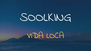 🎧 SOOLKING - VIDA LOCA (SPEED UP + REVERB)