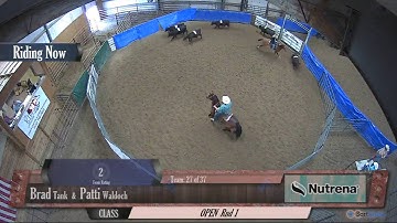 Big Sky Ranch Sorting Saddle Series #4 - OPEN - Round #1 - Ride #27