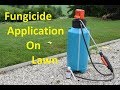 Fungicide Application on Lawn