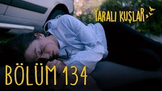 Yaralı Kuşlar 134. Bölüm