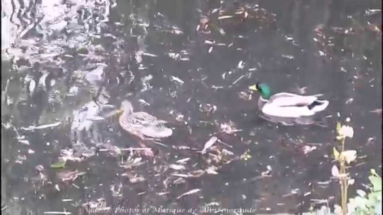 Un après midi printanier ♥