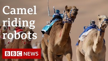 How camel riding robots saved children