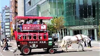 札幌観光幌馬車 Youtube