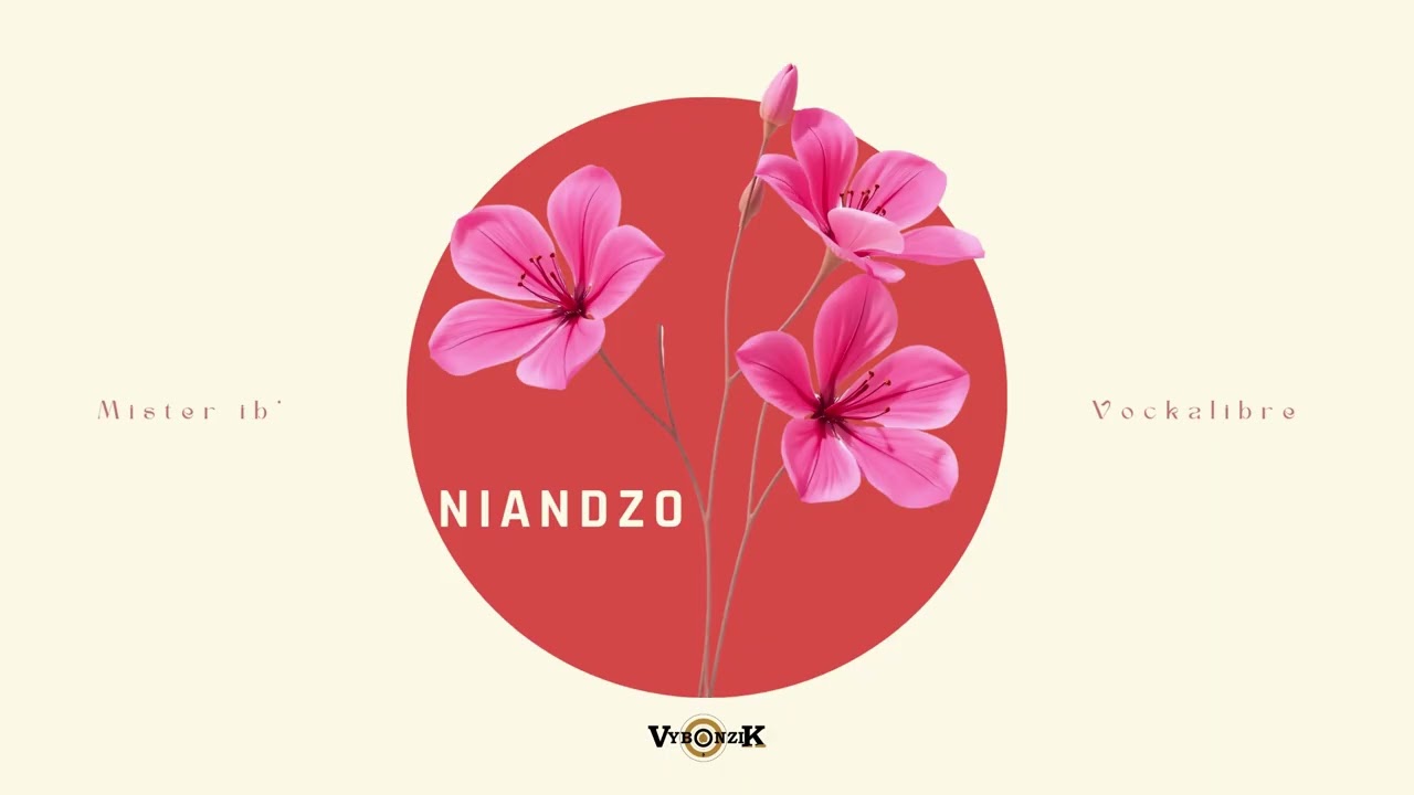 Mister ib' - Niandzo feat vockalibre (audio officiel)