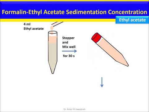 Video: Kwa nini ethyl acetate polar?