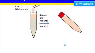 Fecal Sedimentation Concentration: Formalin-Ethyl Acetate Method