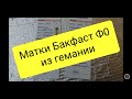 Матки бакфаст из Германии, серый немецкий бакфаст, б86амг