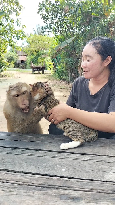 Perfect SokYaa,OG, ToTo Animals Are So Awesome #shorts