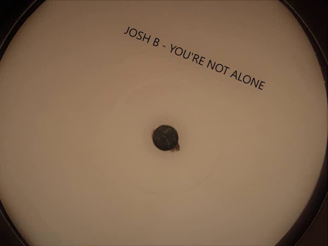 Josh B - You're Not Alone class=