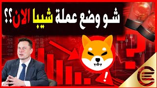 شاهد عملة شيبا  يجب ان تحذر منها shiba swap | انهيار العملات الرقمية