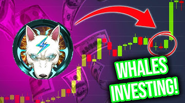 VOLT INU MASSIVE NEWS: BIG TRUTH REVEALED! GET READY! (VOLT INU PRICE PREDICTION INVEST 2022)