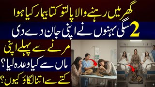 2 Behno Ki Anokhi Qurbani Paltu Janwar Se Itni Mohabbat?