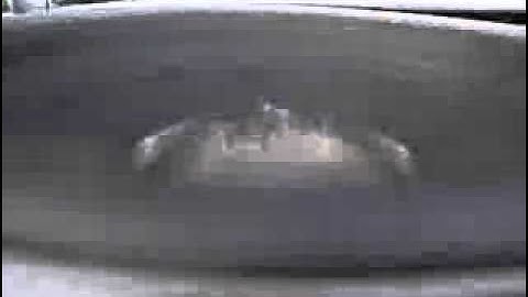 12vdb.com - car audio database: JBL P1222.2