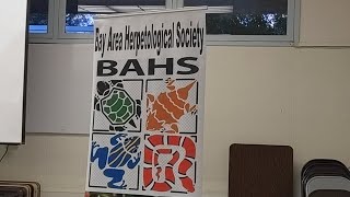 BAHS Presentation Apodora Papuana