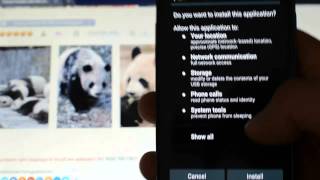 Funny Pandas Are HD Live Wallpapers for android free screenshot 5