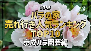 #385 バラの家 売れ行き人気ランキングTOP10　京成バラ園芸編