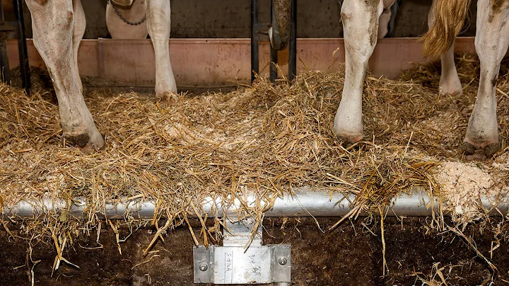 Ferme Bofran, source traditionnelle de confort