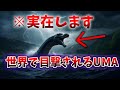 【ゆっくり解説】世界で実際に目撃されたUMA９選