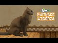 Kot o dziwnym rodowodzie | Sims 2 Kwitnące Wzgórza #256