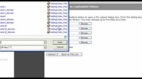 Adding Flash To a Page