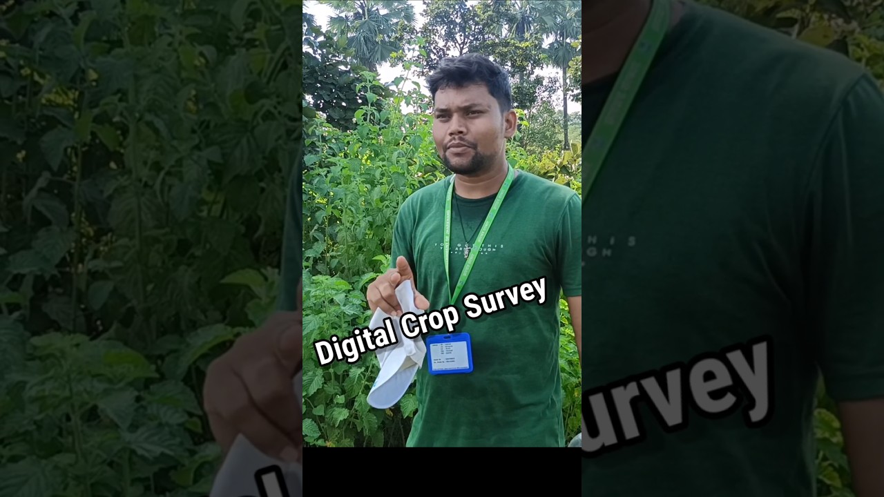 Digital Crop Survey kaise kare 