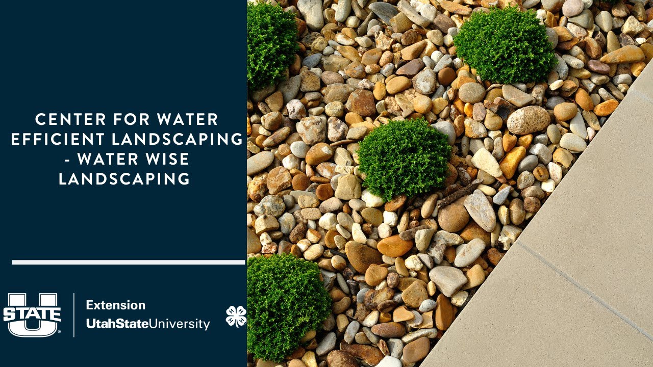 Center for Water Efficient Landscaping - Water Wise Landscaping