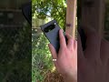 Pixel vs Samsung vs iPhone vs Oppo Zoom Test! #PhoneCamera #ZoomTest #Tech