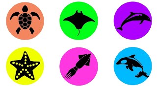 Nama Hewan Laut : Paus orca, Ikan Hiu, Bintang laut, Penyu, Lumba-lumba,Hiu kepala martil