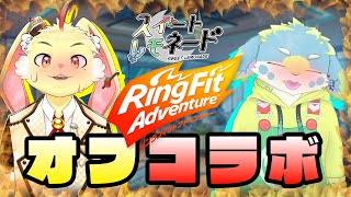 【オフコラボ】二人で激しい運動をします【リングフィットアドベンチャー】with黒瀬まゆ