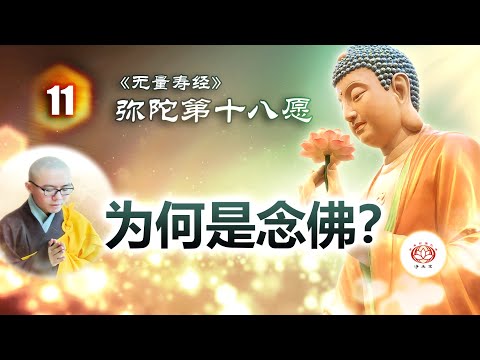 《无量寿经》弥陀第十八愿  第11讲 - 为何是念佛？（乃至十念） | 净本法师 主讲