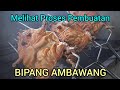 Melihat Proses Pembuatan BIPANG AMBAWANG Butuh Waktu Hingga Delapan Jam [BIPANG CRISPY BADDOR]