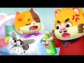 أغنية البعوضة أغنية ناموسة اغاني اطفال اناشيد اطفال ميمي وتيمي MeowMi Family Show 