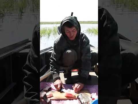 🤔 Основной источник