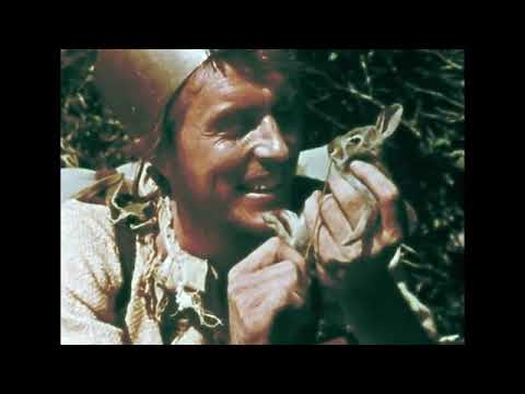 Johnny Appleseed: A Legend of Frontier Life (1954) Biography