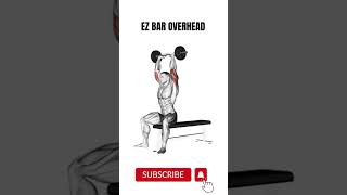 Ez Bar Workout #fitness #workout #shorts #training #youtubeshorts