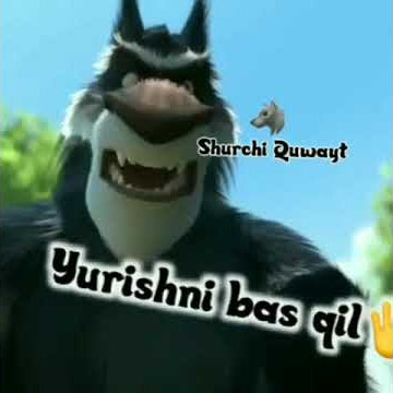 shurchi quvayr prikol (2)