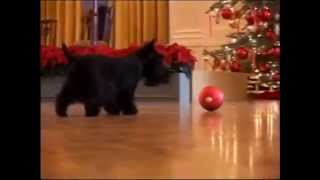 Barney starred in his own videos using the BarneyCam