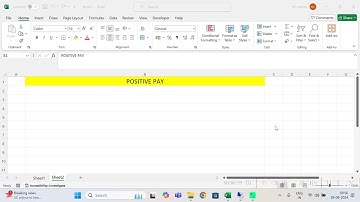 SAP S/4 HANA FICO: POSITIVE PAY CONCEPT # AUTOMATIC PAYMENT PROGRAM # F110 #FBZP