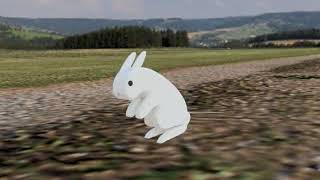 3D animation of a jumping bunny by Sergio Velasquez Flores.