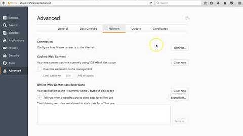How to Use Blazing Proxies and SOCKS Protocol With Firefox