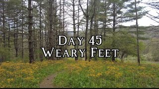 Day 45 | Onward to Weary Feet | Appalachian Trail Thru Hike 2024