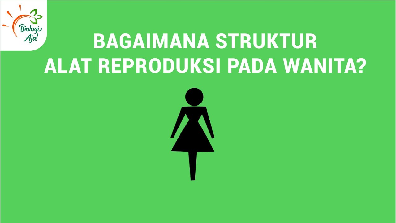 ALAT REPRODUKSI  PADA WANITA  SISTEM REPRODUKSI  PART 2 