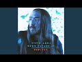 Are You Lonely Steve Aoki Remix