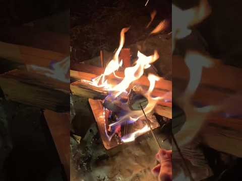 キャンプではるちゃんに焚き火をしてくれたよ！焚き火といえば！マシュマロ！美味しい！　#楽しい #家族 #vlog #キャンプ #焚き火 #マシュマロ #ファミリーキャンプ #遊び #shorts