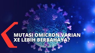 Omicron Bermutasi Munculkan Varian XE, Lebih Berbahaya?