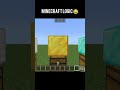 Minecraft Logic 🧠 #minecraft #logic #shorts #trending #funny #gaming #creative #testing