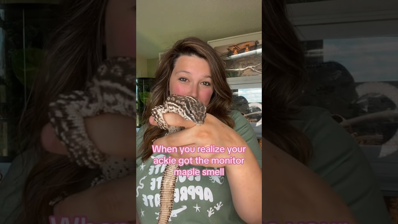 Did you know some monitors can produce a maple smell?! It’s so crazy! 🥞🤯 