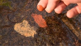 Finding Natural Paint For Primitive Bush Craft And How To Use It