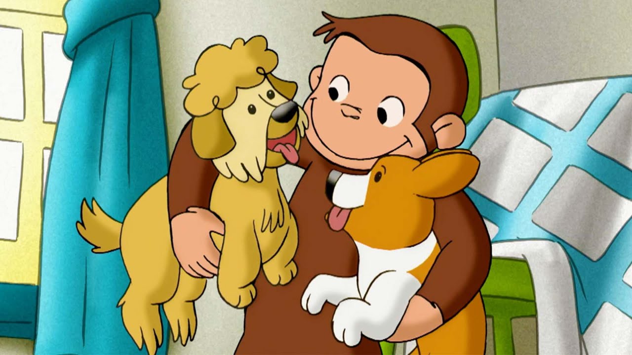 George, a babá de cachorros 🐵 George, o Curioso 🐵 Desenhos Animados